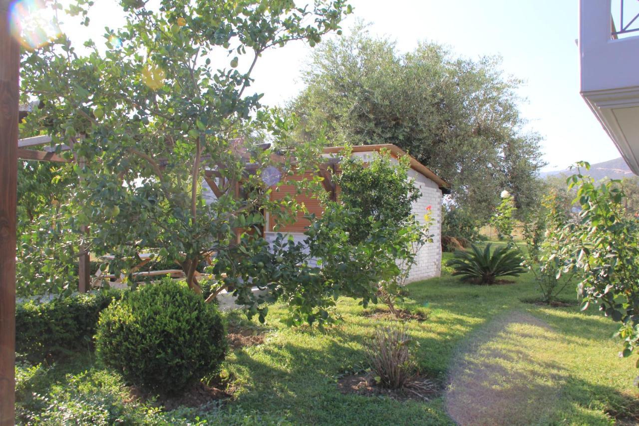 Vila Hadhri Borsh Exterior foto